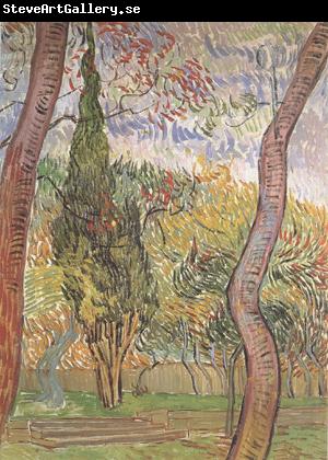 Vincent Van Gogh The Garden of Saint-Paul Hospital (nn04)